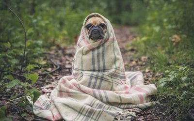 Inadequate Insulation